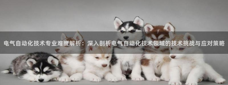 凯发官网手机app