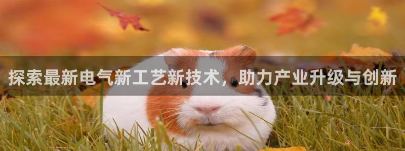 凯发k8官方网娱乐官方
