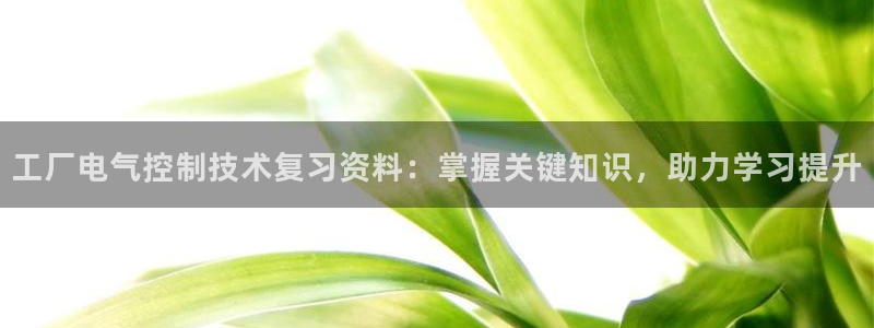 凯发k8旗舰店