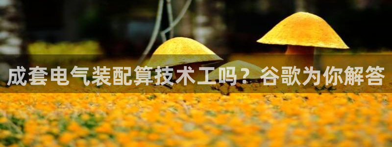 凯发国际是什么投资平台