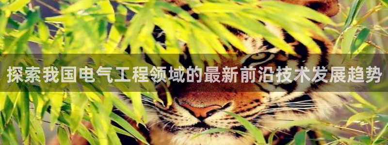 凯发k8是真是假