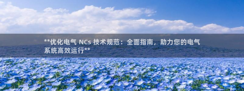 凯发国际怎么赚钱：**优化电气 NCs 技术规范：