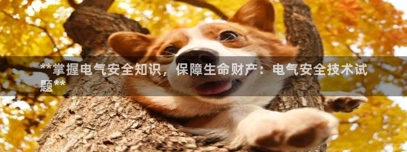 凯发k8全球公开加盟：**掌握电气安全知识，保障生
