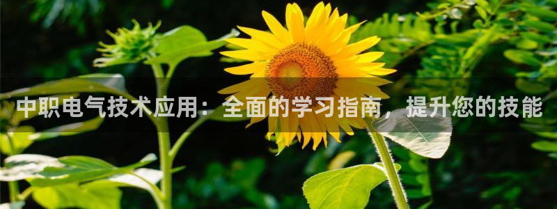 凯发k8娱乐现在还有吗：中职电气技术应用：全面的学