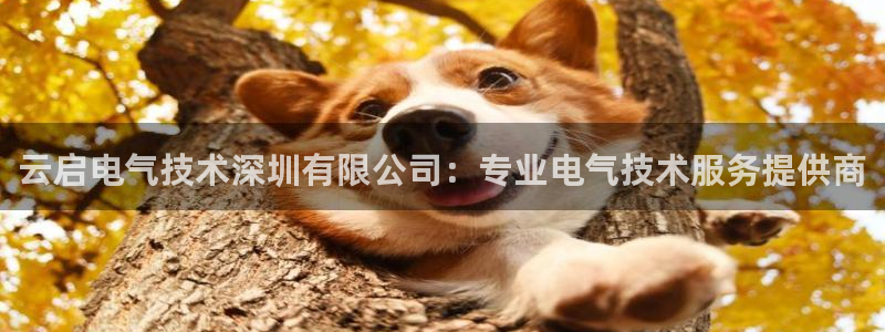 凯发网址多少：云启电气技术深圳有限公司：专业电气技