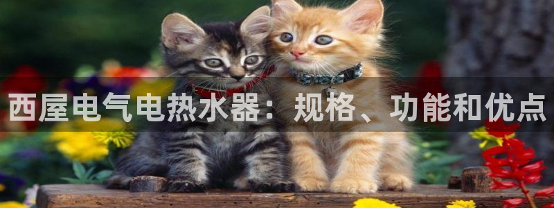 凯发K8旗舰厅：西屋电气电热水器：规格、功能和优点