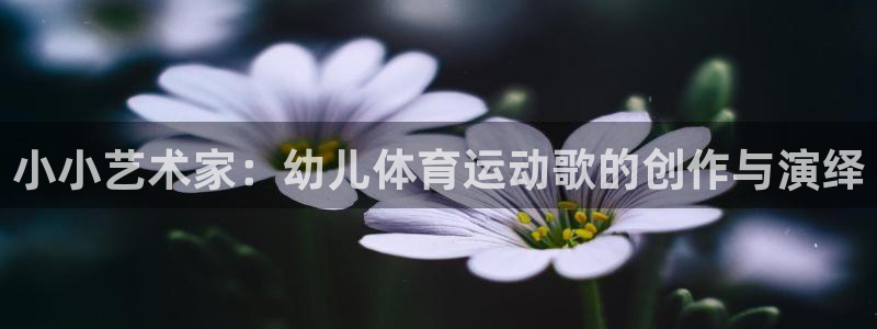 oety欧亿